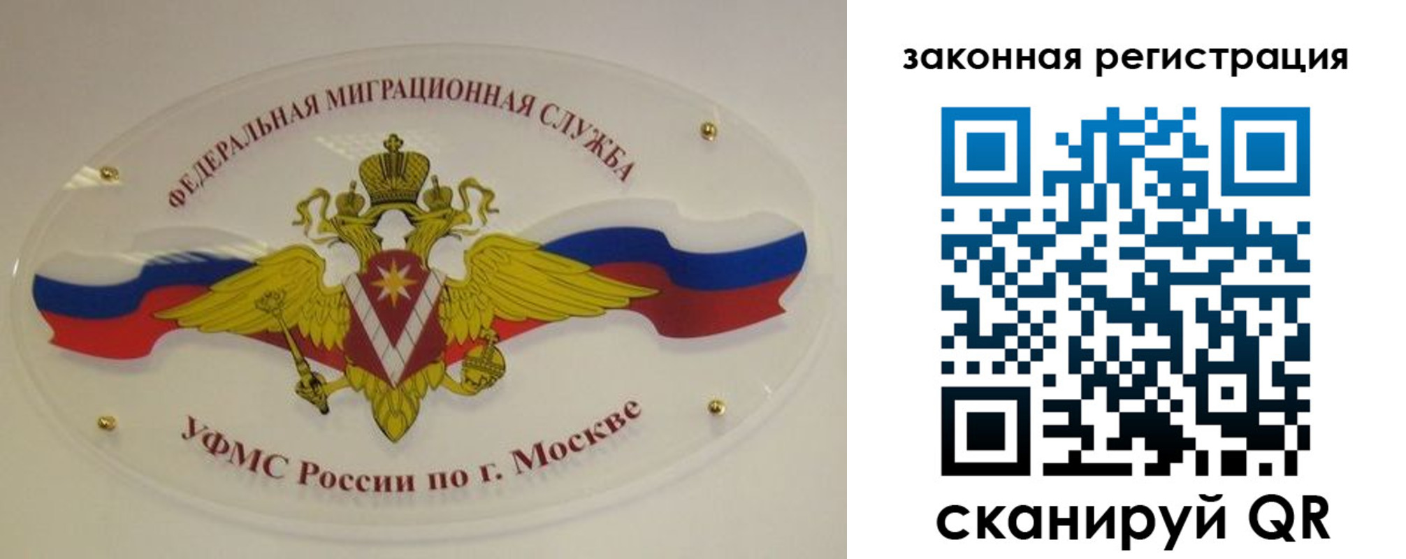 где прописаться в Светогорске